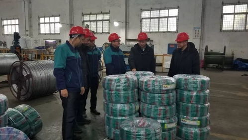 暖心回訪服務,優(yōu)化營商環(huán)境 柳州市產品質量安全檢驗所到企業(yè)進行技術指導