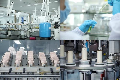 袋鼠媽媽天然國(guó)度入選創(chuàng)新服務(wù)重點(diǎn)企業(yè),打造強(qiáng)勁品牌力引領(lǐng)行業(yè)創(chuàng)新發(fā)展