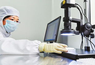 芯 技術(shù)實現(xiàn) 零突破