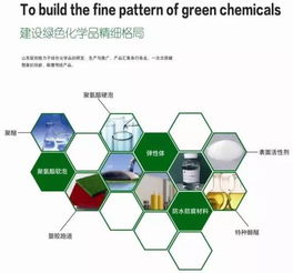 山東聯創(chuàng)新材料集團