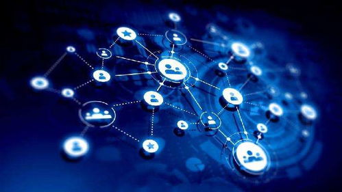 攜手共贏 種植戶與水溶肥生產(chǎn)廠家技術(shù)合作的新趨勢