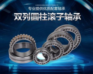 雙列圓(yuán)柱滾子軸(zhóu)承 nn3056、nn3056k、w33、p5、p4 舊(jiù)型号(hào)d3182156、c3182156