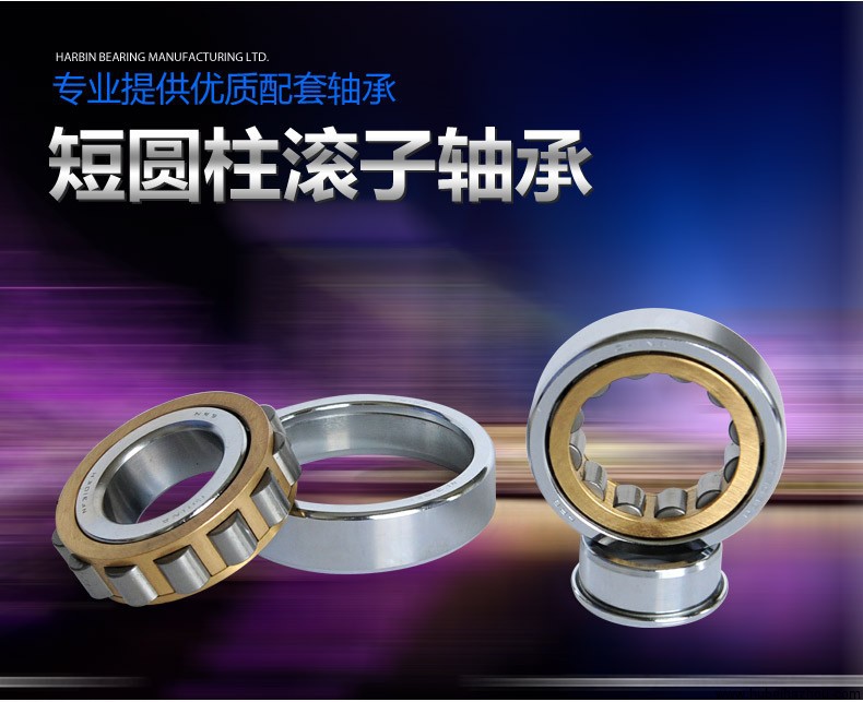 向(xiàng)心短(duǎn)圓柱(zhù)滾子軸承(chéng)【單(dān)列】n306em、nu306em、nj306em 舊型号 2306h、32306h、42306h