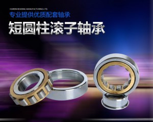 向(xiàng)心短(duǎn)圓柱滾子軸承【單列(liè)】n2344m、nu2344m、nj2344m、 舊型(xíng)号 2644h、32644h、42644h、